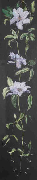 Marianne North Plant with Pale Purple Flowers on a Black Background Art A4 Photo Print