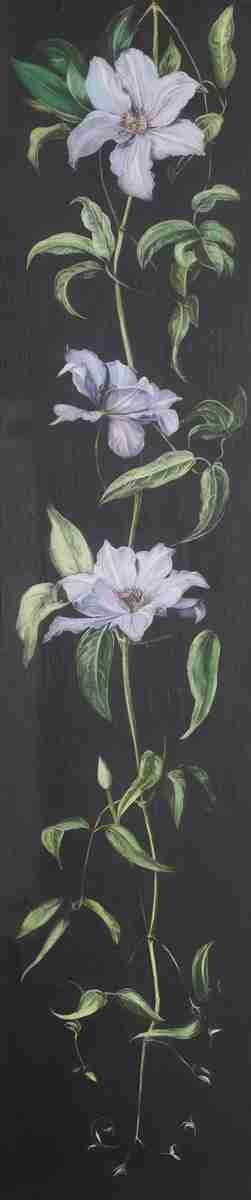 Marianne North Plant with Pale Purple Flowers on a Black Background Art A4 Photo Print