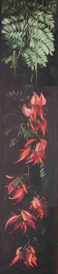 Marianne North Red Flowering Plant on a Black Background Art A4 Photo Print