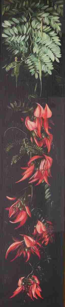 Marianne North Red Flowering Plant on a Black Background Art A4 Photo Print