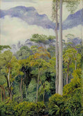 Marianne North Road Making in the Tegora Forest Sarawak Borneo Art A4 Photo Print