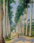 Marianne North Side Avenue of Palms at Botafogo Brazil Art A4 Photo Print