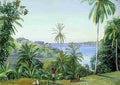 Marianne North Some of Mrs Camerons Models with Cocoanut Teak Trees Kalutara Ceylon Art A4 Photo Print