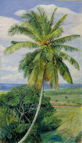 Marianne North Study of Cocoanut Palm 2 Art A4 Photo Print