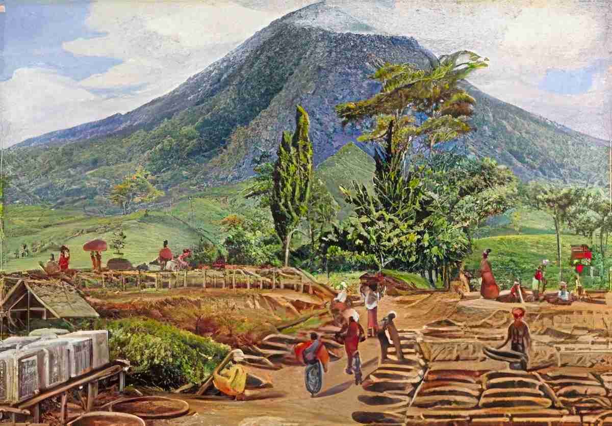 Marianne North Tea Drying in Mr Hölles Establishment Java Art A4 Photo Print