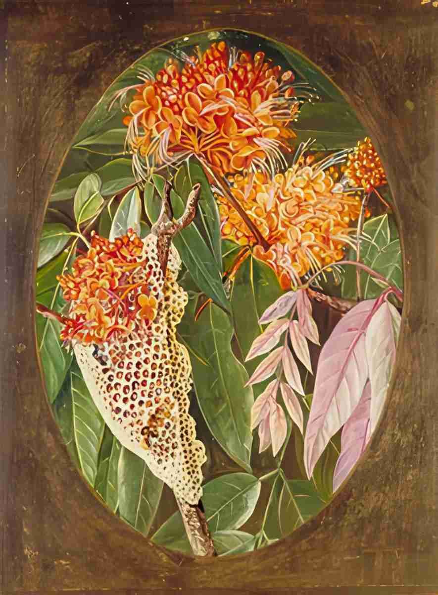 Marianne North The Asoka Art A4 Photo Print