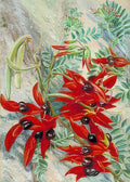 Marianne North The Australian Parrot Flower Art A4 Photo Print