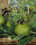 Marianne North The Breadfruit at Singapore Art A4 Photo Print