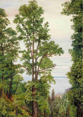 Marianne North The Canary Islands Pine at Icod Teneriffe Art A4 Photo Print