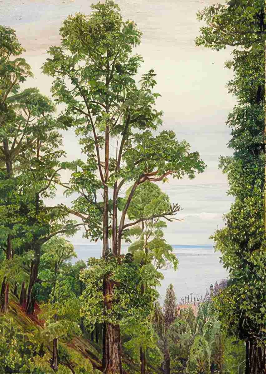 Marianne North The Canary Islands Pine at Icod Teneriffe Art A4 Photo Print