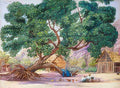 Marianne North The Only Shade in Ile Aride Seychelles Art A4 Photo Print