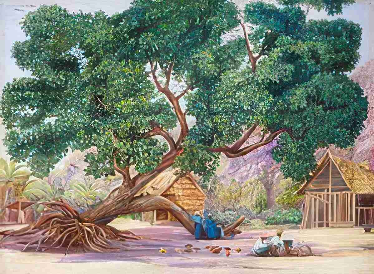 Marianne North The Only Shade in Ile Aride Seychelles Art A4 Photo Print