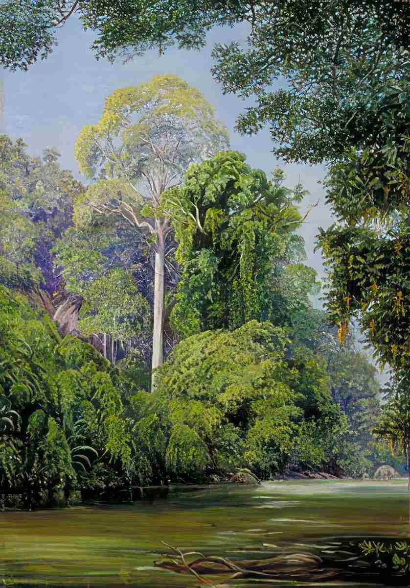 Marianne North The Tapang Tree Sarawak Borneo Art A4 Photo Print