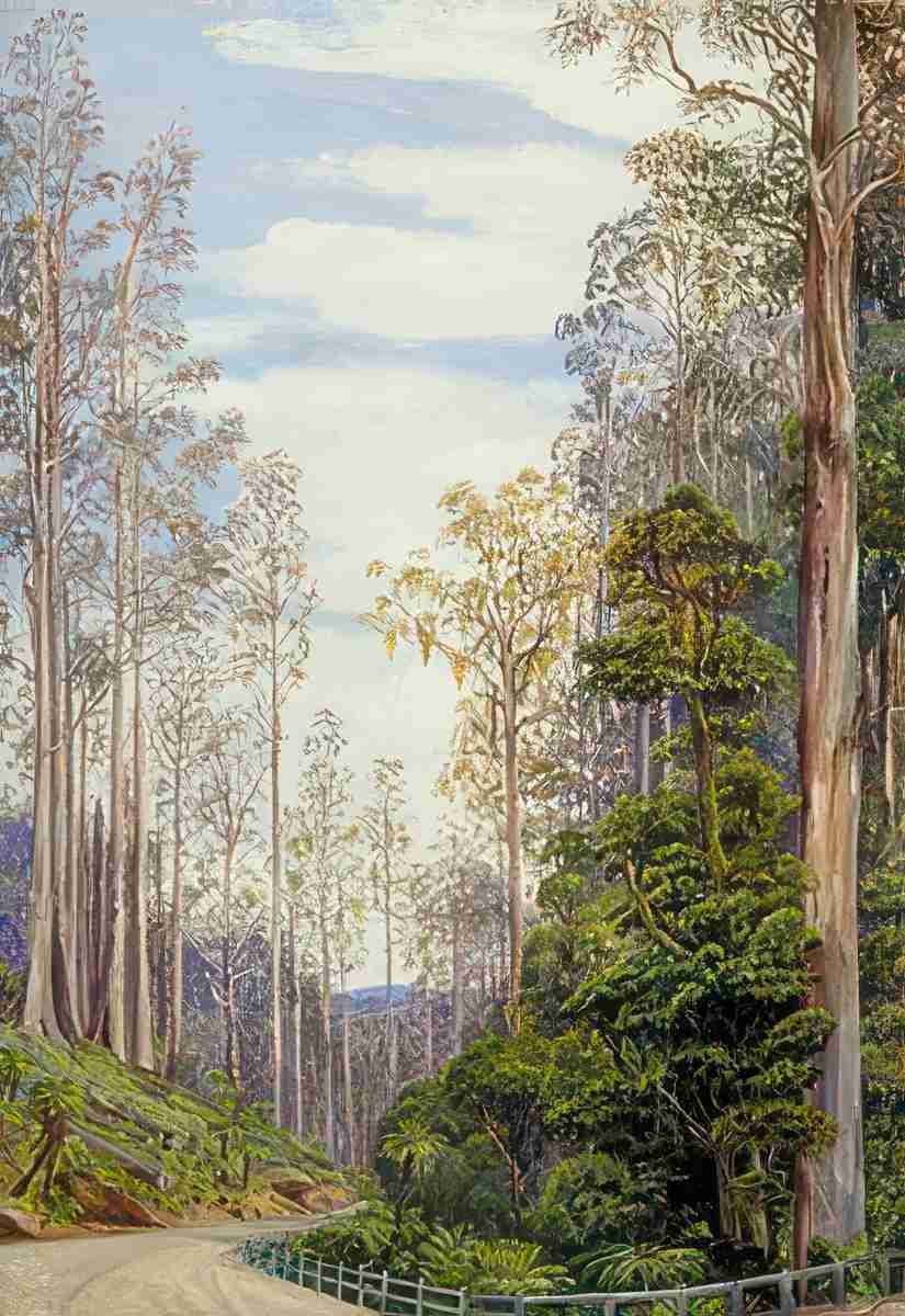 Marianne North Trees near Fernshaw Victoria Art A4 Photo Print