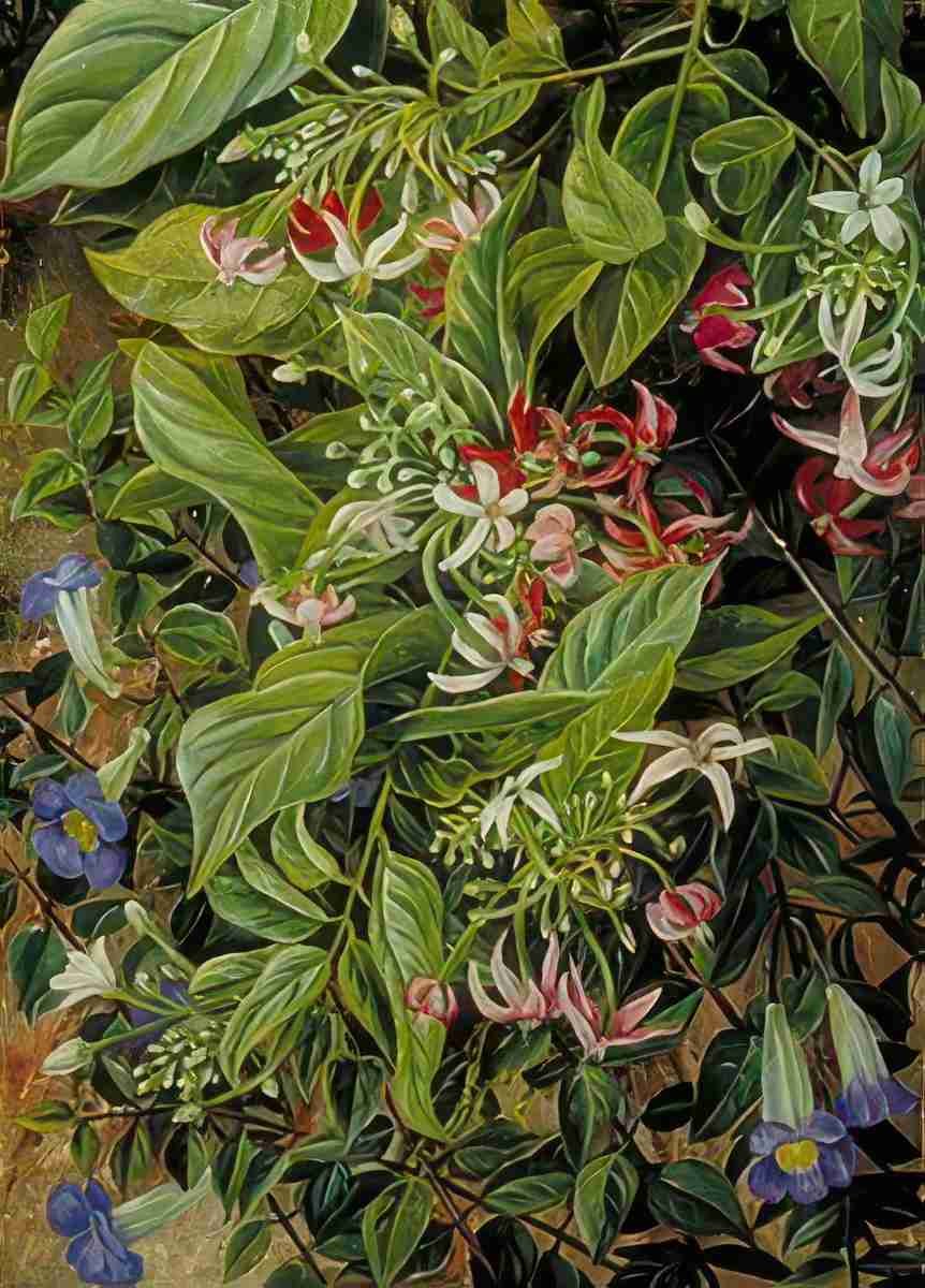 Marianne North Two Climbing Shrubs at Singapore Art A4 Photo Print