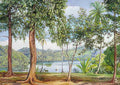 Marianne North View from Kalutara Ceylon Art A4 Photo Print