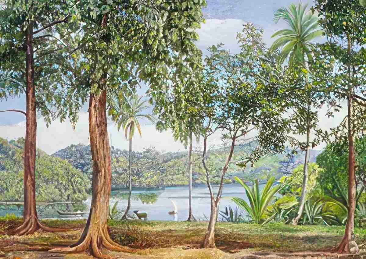 Marianne North View from Kalutara Ceylon Art A4 Photo Print