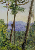 Marianne North View from Mr Weilhorns House Petropolis Brazil Art A4 Photo Print