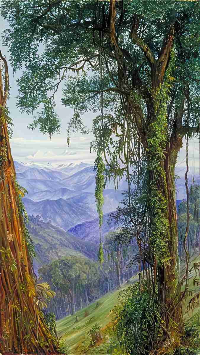 Marianne North View from Rungaroon near Darjeeling India Art A4 Photo Print