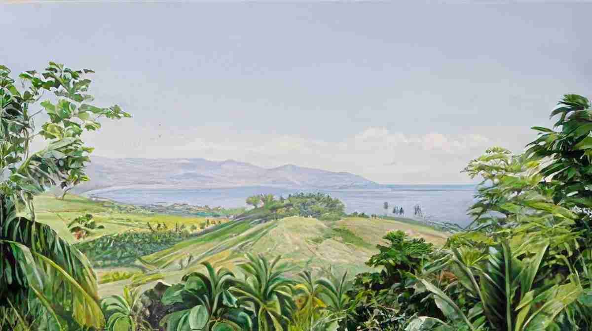 Marianne North View from Spring Gardens Buffs Bay Jamaica Art A4 Photo Print