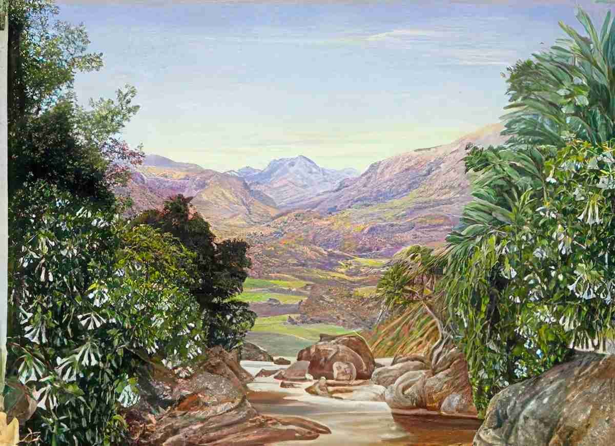 Marianne North View from the Top of the Waterfall at Ramboddy Ceylon Art A4 Photo Print