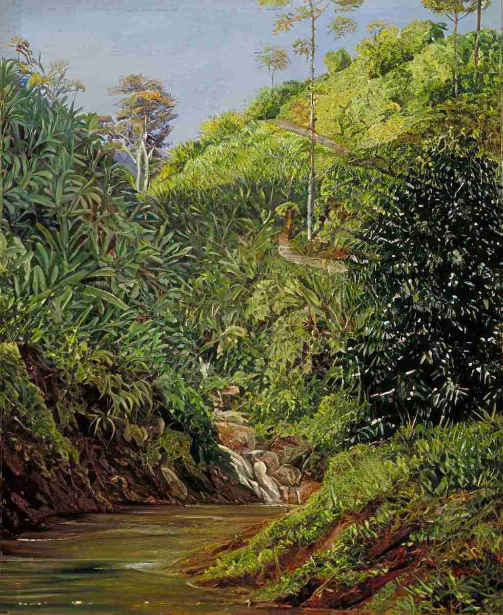 Marianne North View near Garoet Java Wild Bananas Coffee Bushes in Front Ga Art A4 Photo Print