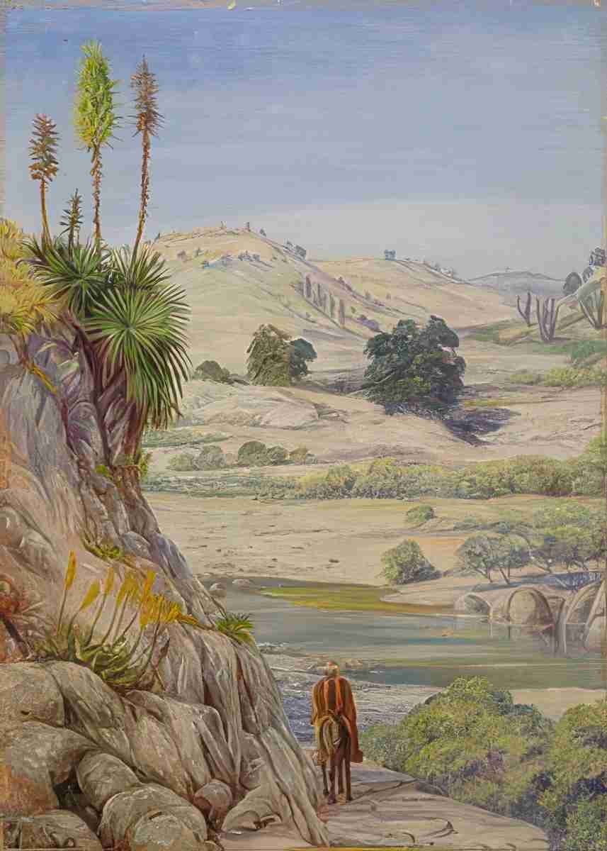 Marianne North View near Quilpue Chili Art A4 Photo Print