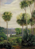 Marianne North View of Melbourne from the c Gardens Art A4 Photo Print