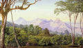 Marianne North View of the Cathedral Rocks from Mattaran India Art A4 Photo Print