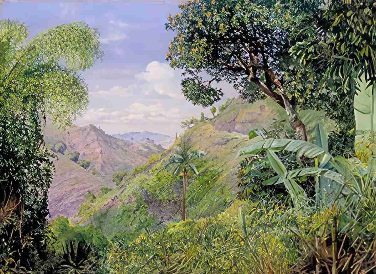 Marianne North View on the Flamsted Road Jamaica Art A4 Photo Print