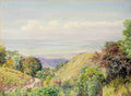 Marianne North View over Kingston Port from Craighton Jamaica Art A4 Photo Print