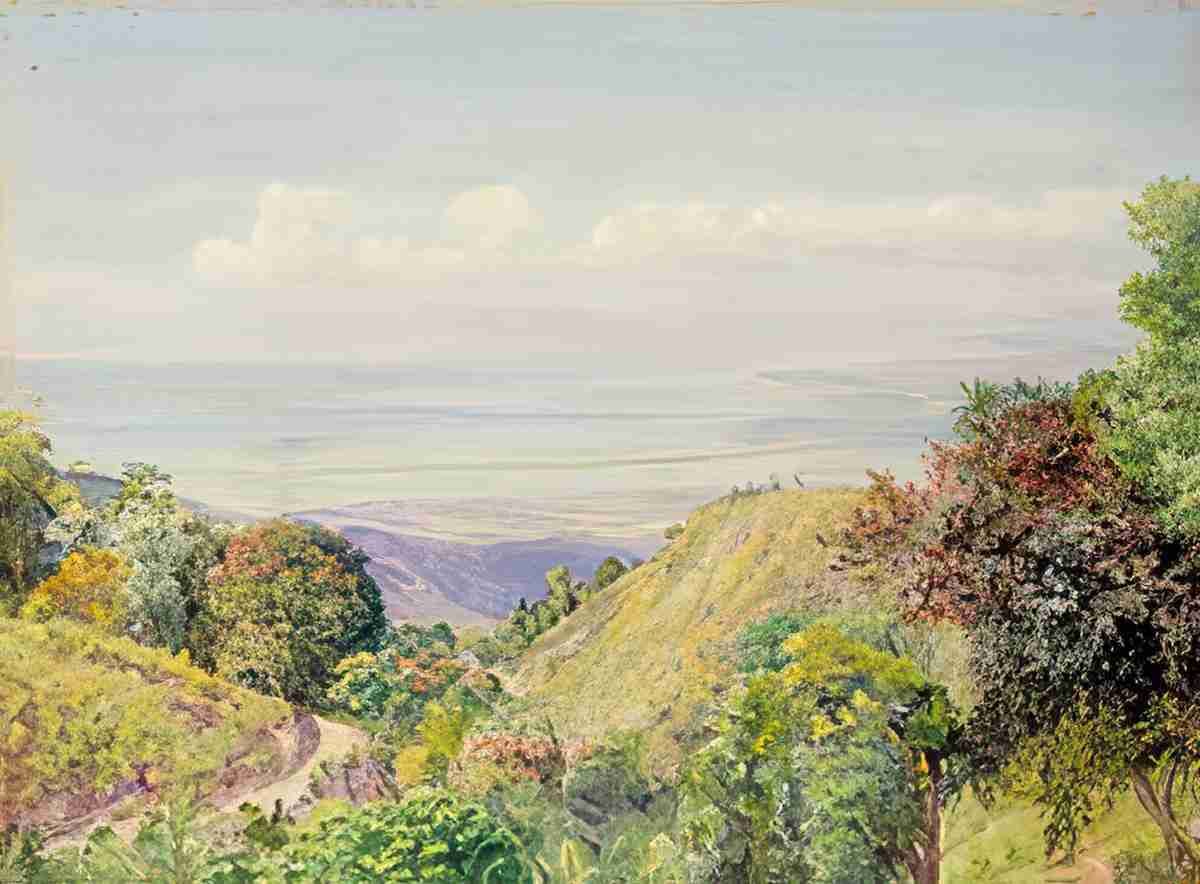 Marianne North View over Kingston Port from Craighton Jamaica Art A4 Photo Print