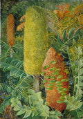 Marianne North West Australian Shrubs Art A4 Photo Print