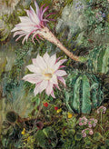 Marianne North Wild Flowers of Mussooree India Art A4 Photo Print