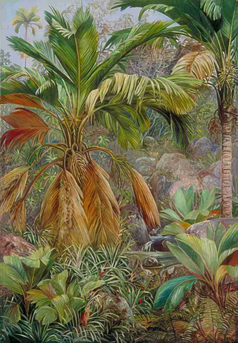 Marianne North Wild Pine Apples Stevensonia Other Palms Praslin Art A4 Photo Print