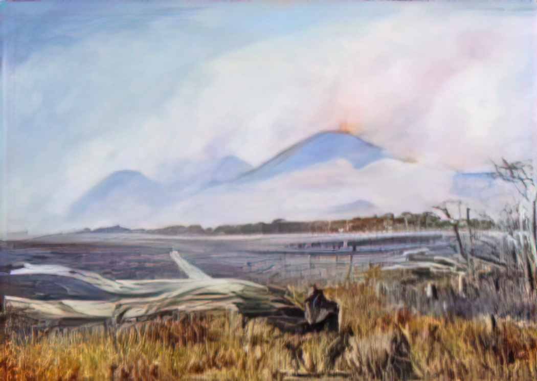 Marianne North a bush fire at sunset queensland 1880 Art A4 Photo Print