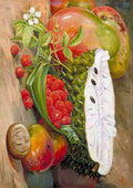 Marianne North fruit grown in the seychelles 1883 A4 Photo Print