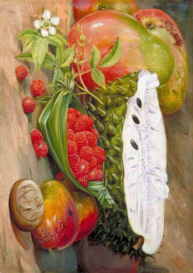 Marianne North fruit grown in the seychelles 1883 A4 Photo Print