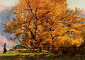 Mariano Barbasan 6  A4 Photo Print
