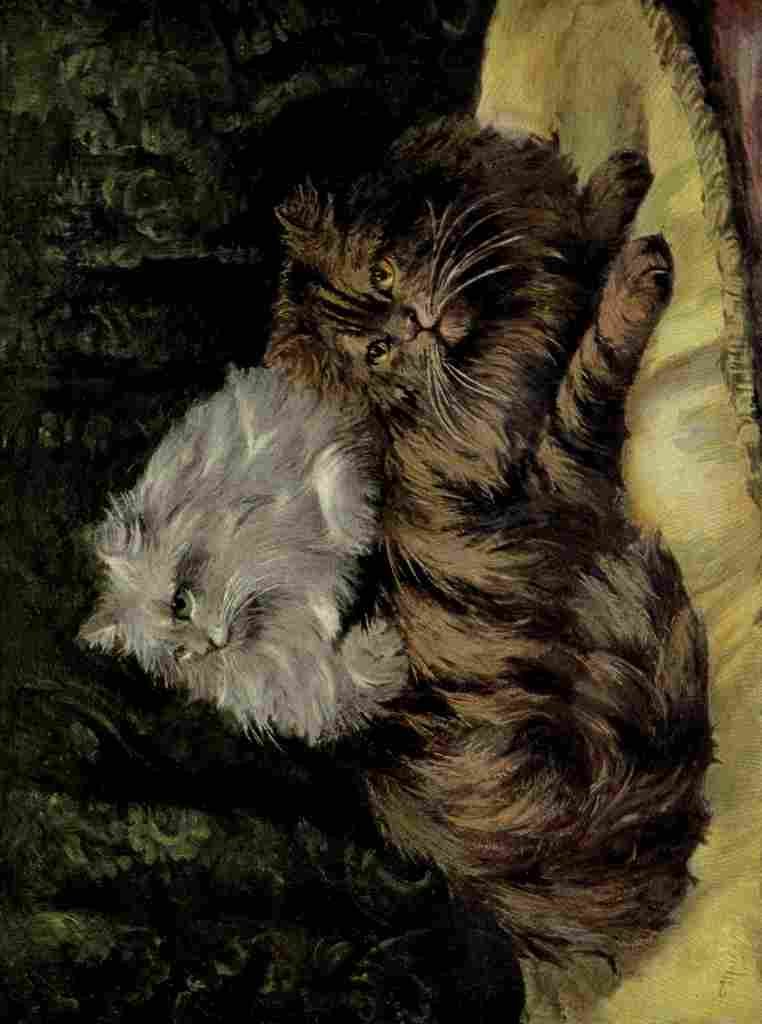 Marks F The Book Cat 1903 Persian cats A4 Photo Print