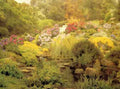 Marks George A Watergarden A4 Photo Print