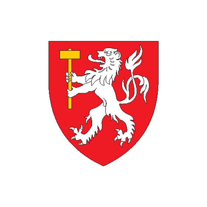 Martigny Dist Coat Of Arms N4319 A4 Photo Print