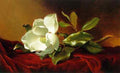 Martin Johnson Heade A Magnolia on Red Velvet ATC  A4 Photo Print