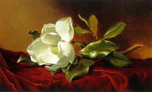 Martin Johnson Heade A Magnolia on Red Velvet ATC  A4 Photo Print