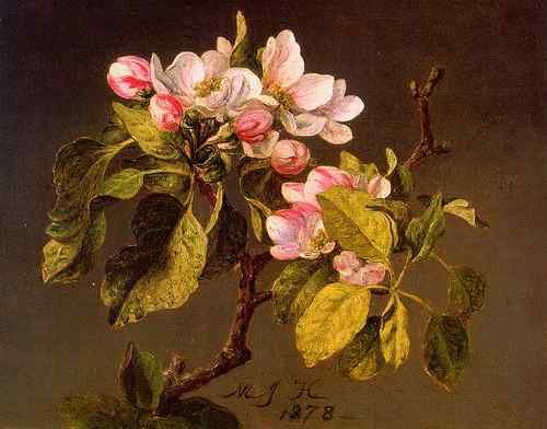 Martin Johnson Heade Apple Blossoms CGF  A4 Photo Print
