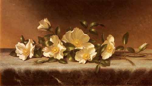 Martin Johnson Heade Heade Martin Johnson Cherokee Roses On A Light Gray Cloth  A4 Photo Print