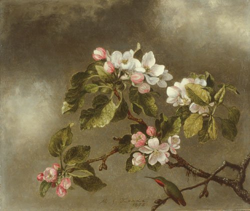 Martin Johnson Heade Heade Martin Johnson Hummingbird And Apple Blossoms  A4 Photo Print