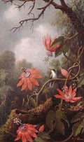 Martin Johnson Heade Heade Martin Johnson Hummingbird And Passionflowers  A4 Photo Print