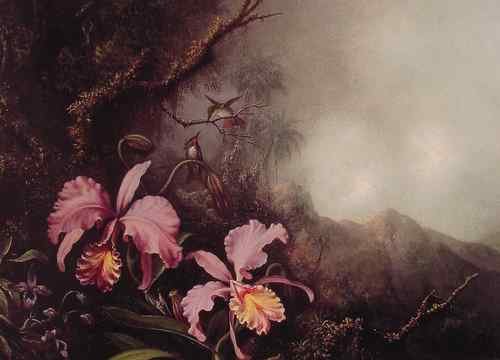 Martin Johnson Heade Two Orchids in a mountain Landscape  A4 Photo Print