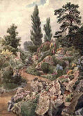 Martin Thomas Mower 1838 1934 Kew Gardens 1908 In the Rock Garden A4 Photo Print